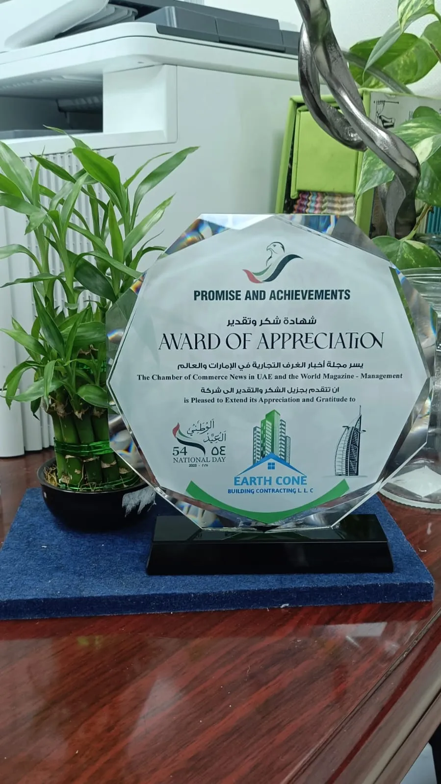 Earth Cone Award of Appreciation